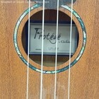 Protege By Cordoba U1-m Mahogany Concert Ukulele