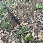 Falconry Bownet Trap American Falconer s Supply Bownet Trap Falconry Equipment