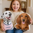 Custom 3d Dog Pillow From Photo - Personalized Pet Memorial Cat Cushion Gift