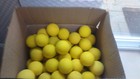 Lacrosse Balls Lot Of 50 Balls Pre Owned Lightly Used Nocsae Ncaa Nfhs Certified