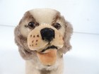 Steiff Cocker Spaniel Puppy Dog Open Mouth Red Ribbon Mohair Stuffed Animal Tag
