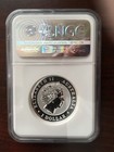 2017 P Australia 1 Oz High Relief Pf Silver Wedge Tailed Eagle Reverse Proof  1