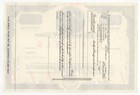 Specimen - Cmi Investment Corp  Stock Certificate