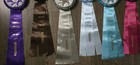 Lot Of  12  Ushja Hunter Derby Horse Show Ribbons  Equestrian Awards  brand New 