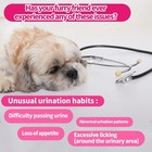 Cranberry For Dogs  Tract   Bladder Support For Dog  Cranberry Chews For Dogs   