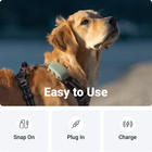 Gps Dog Xl Charging Cable