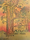 Yellowstone Park Bears In Tree Vintage Leather Hanging Postcard