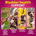 Cranberry Chews For Dogs Dog Cranberry Supplement For Urinary Health Cranberry
