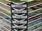 Copernicus Wide 20-shelf Spring-loaded Rolling Art Drying Rack For Art Studio