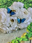 12 Blue Feather Monarch Butterflies 1inch -artificial Blue Butterfly Picks Decor