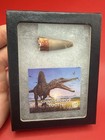 Spinosaurus Tooth - Real Fossil Dinosaur Tooth - Kem Kem  Morocco