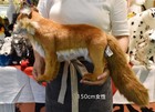 Hansa Bh4699 Red Fox 63 Stuffed Animal