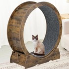 Cat Exercise Wheel For Indoor Cats - Large Running Wheel For Small Animals Wi   