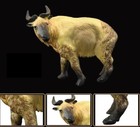 Takin Cattle Goat Animal Toy Pvc Action Figure Doll Kids Toys Party Gifts