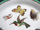Antique Copeland Aesthetic Crescent 9 25  Salad Plate Bird Butterflies C  1878