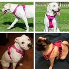 Dog Harness   Training Leash No Pull Control Adjustable Large Handle Heavy Duty
