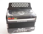 Hohner 3100gb 31-key Panther Diatonic Accordion