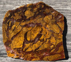Stone Canyon Jasper Agate - California  3 75 x3 75  Lapidary Rough Slab Cabbing