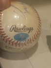 Dominique Wilkins Signed National League Baseball Autographed Ball Auto Nba Coa