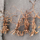 1 Bundle Natural Driftwood Aquarium Root Trunk Tree Fish Tank Landscape Plant Us