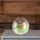 Glass Vase Hanging Pot Decorative Flower Container Hydroponics Planting