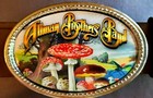 Allman Brothers Band Epoxy Photo Music Belt Buckle   Brown Bonded Leather Belt