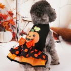 Dog Cat Halloween Costume Pumpkin Print Halloween Pet Apparel Soft Fun Puppy