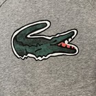 Lacoste Kids  Crocodile Graphic Fleece Sweatshirt Boys Size 12 Gray - Clean 