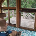 Reemplazo De Mosquiteros Para Ventanas A Prueba De Mascotas De 47 2  X 98 4 