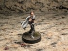 Star Wars Legion Miniatures Padme Amidala - 1 Figure Pro Painted  c