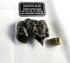 Sikhote- Alin    98 Gram Beauty  With Lots Of Regmaglypts