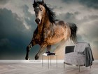 3d Horse Animal Close-up Wall Murals Wallpaper Murals Wall Sticker