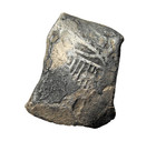 Shipwreck Treasure 8 Reale Coin 1715 Fleet Wreck Silver Coa Ship Cob Mexico Sea