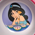 Vintage 90 s Disney Aladdin Jasmine Genie Plastic Plate   Bowl Lot Zak Designs