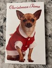 Christmas Time Funny Dog Happy New Year 5   x7 75  Stockwell Greeting Card