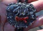 Beautiful Big Old Sterling Silver   Branch Coral Bear Bolo Tie Signed
