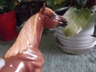 Breyer Classic 2017  Chestnut Blanket Appy Calvin Web Special  Custom Gloss