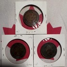 3 Different Canada Large Cents Lot G  All 1890 s  Better Circulated Up To Xf