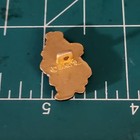 Vintage Metal Hand Painted Paddington Bear Shank Button Hand In Honey Pot Eden