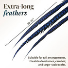 Schuman Feathers Lady Amherst Pheasant - 30-36 Inches Long  Dyed Over Natural  F