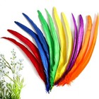 50 Pcs Rooster Tail Feathers 14-16  Mixed Colors For Diy Crafts   Decorations 