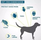 2x Flea   Tick Collar For Large Dogs 18lbs 8months Protection New Sealed -us