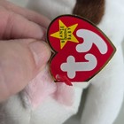 Ty Beanie Baby Butch Bull Terrier  4227 1999 Pe Pellets Retired Dog Plush