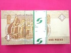 Egyptian Money Full Bundle 100 Pcs One Pound Each Uncirculated