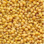 Moong Dal Yellow Lentils Split Mung Dal - 1kg 2kg 5kg 10kg 15kg 20kg 30kg Bulk