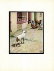 Antique Bull Terrier Print 1910 Edwin Noble Bull Terrier Illustration Art 6418e