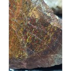 Gem Bone Slab Specmen