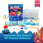 Big Bang Science Kids Multicolor Crystal Growing Kit Birthday Christmas Gift