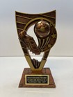 Soccer Trophy 7  Victory Free Custom Engraving  support The Vet 