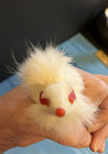 Vtg Real Fur Mouse Miniature White Albino Red Eyes Rare No Tag In Great Shape 6 